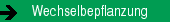 jahreszeitliche Wechselbepflanzung