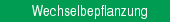 jahreszeitliche Wechselbepflanzung